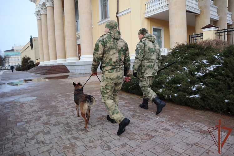 Росгвардейцы обеспечили безопасность открытия главной городской елки в Ставрополе