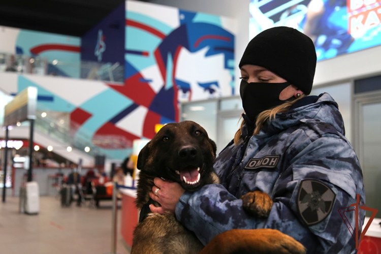 Южноуральские росгвардейцы познакомили журналистов двух телевизионных каналов с работой кинологов ОМОН (видео)
