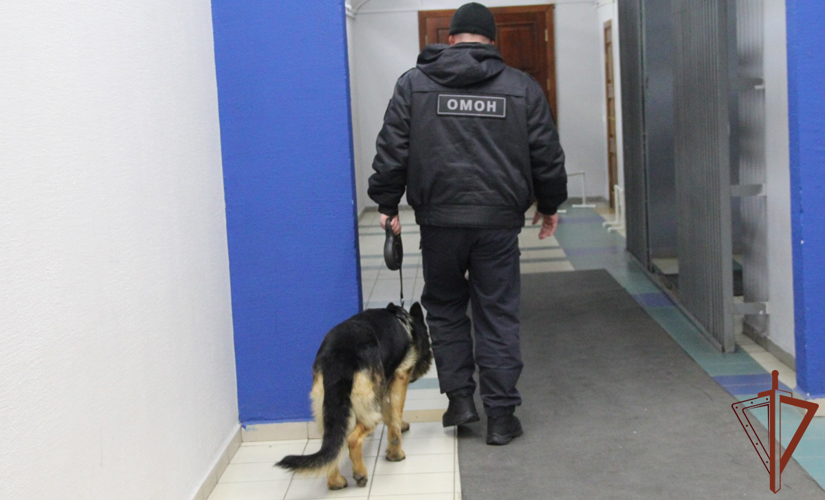 На Урале росгвардейцы обеспечили безопасность праздничных и спортивных мероприятий