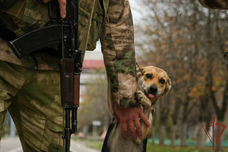 Росгвардейцы в зоне СВО взяли в помощники местную собаку по кличке Батон