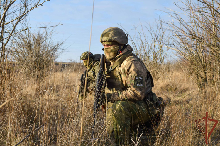 Девушка-кинолог обнаружила несколько тайников с боеприпасами в зоне СВО (видео)