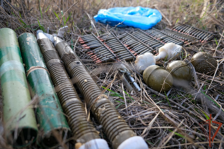 Девушка-кинолог обнаружила несколько тайников с боеприпасами в зоне СВО (видео)