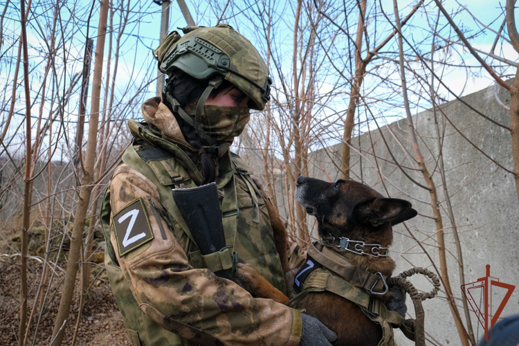 Девушка-кинолог обнаружила несколько тайников с боеприпасами в зоне СВО (видео)