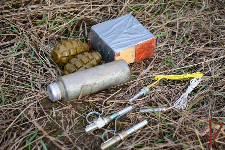 Девушка-кинолог обнаружила несколько тайников с боеприпасами в зоне СВО (видео)