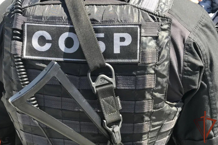 Подозреваемого в совершении теракта в Рязанской области задержали СОБР Росгвардии