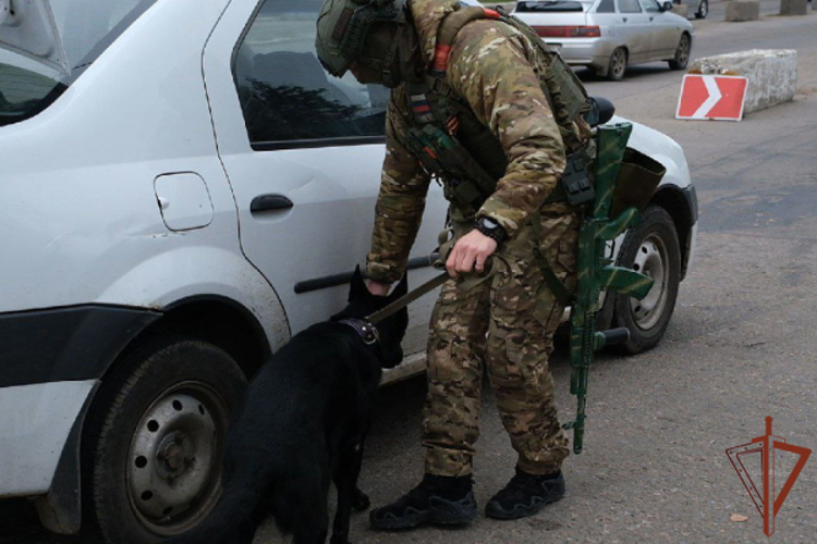 Росгвардия обеспечивает безопасность на федеральных трассах в ЛНР 