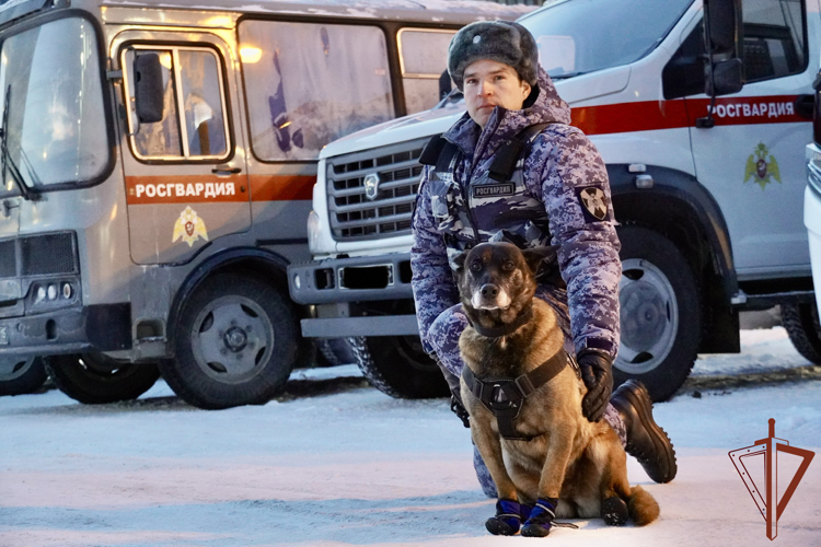 Безопасность матча Континентальной хоккейной лиги обеспечили росгвардейцы в Петербурге   