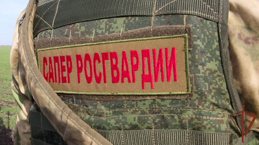 Инженеры Росгвардии с начала СВО обезвредили более 320 тысяч взрывоопасных предметов