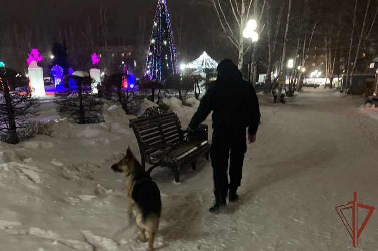 Безопасность в Новогоднюю ночь обеспечила Росгвардия в Сибири