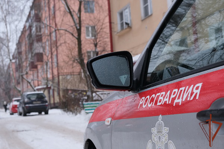 Росгвардейцы задержали подозреваемую в совершении мошенничества в Курске