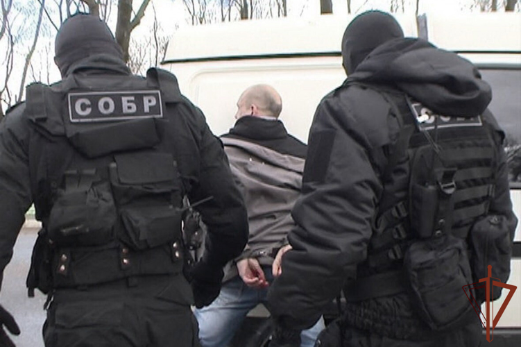 Подозреваемый в серии краж задержан при силовой поддержке СОБР Росгвардии в Саратове