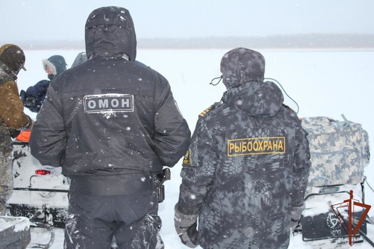 Росгвардия и Рыбоохрана подвели итоги совместного оперативно-профилактического мероприятия «Ставная сеть» в Югре 