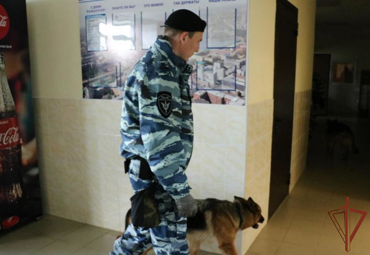Росгвардейцы обеспечили безопасность спортивных мероприятий на Южном Урале