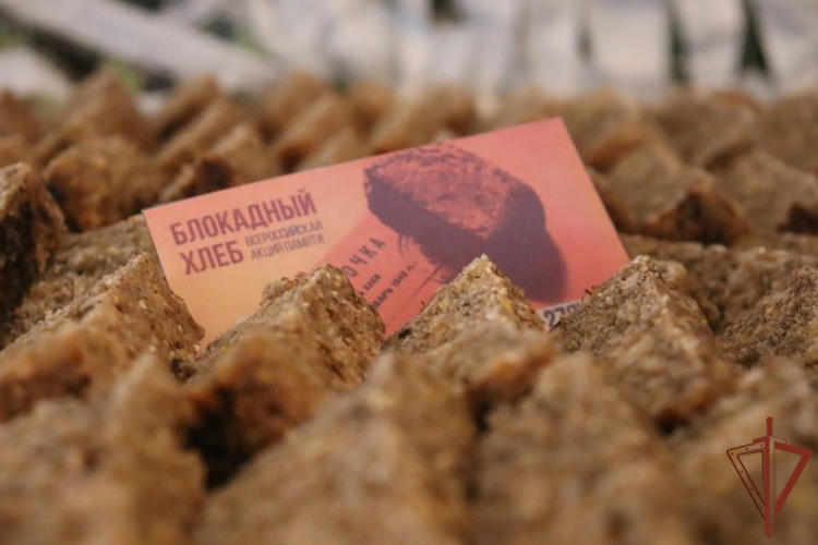 Росгвардейцы Восточного округа приняли участие в акциях, посвященных памятной дате Великой Отечественной войны 