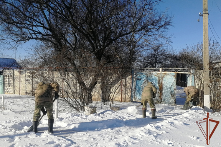 Росгвардейцы помогли местным жителям после снегопадов в ЛНР