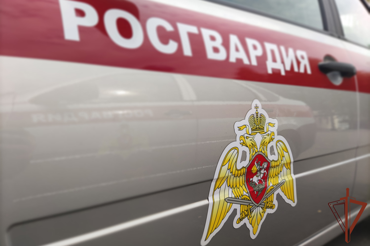 Росгвардейцы спасли попавших в шторм отдыхающих в Севастополе