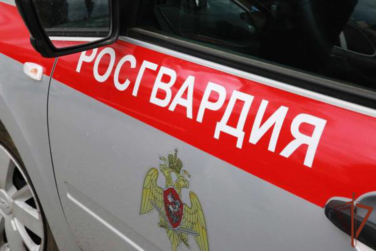 Сотрудники Росгвардии задержали подозреваемого в совершении двойного убийства в Мордовии