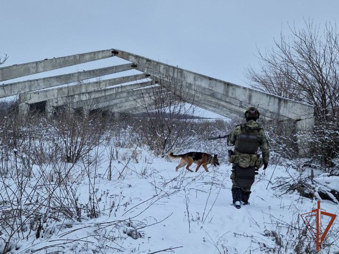 Росгвардейцы нашли схрон с американским и болгарским вооружением в ЛНР