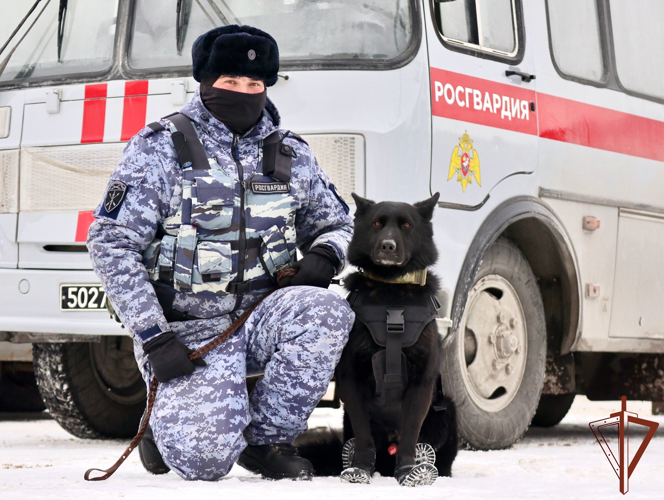 Безопасность матча КХЛ обеспечили росгвардейцы в Санкт-Петербурге