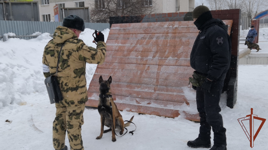 Кинологи Росгвардии познакомили ТВ-журналистов из Тюмени  с особенностями профессиональной подготовки (видео)