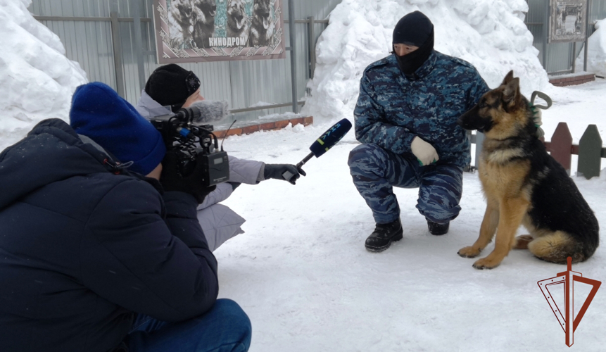 Кинологи Росгвардии познакомили ТВ-журналистов из Тюмени  с особенностями профессиональной подготовки (видео)