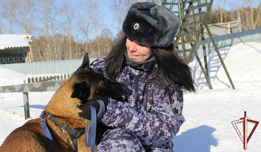 Уральских журналистов познакомили с кинологической службой ведомства и боевой работой офицеров СОБР Росгвардии  (видео)