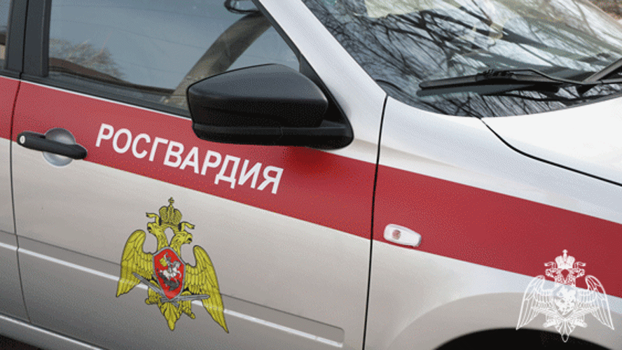 В Ульяновске росгвардейцы пришли на помощь поскользнувшейся пожилой женщине
