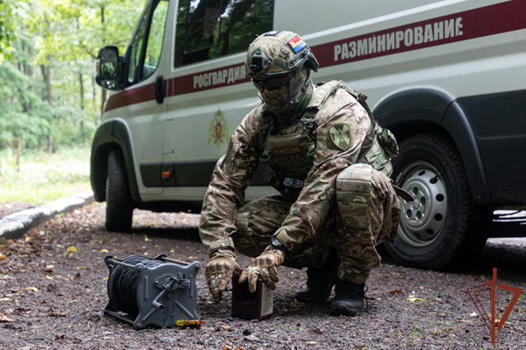 Росгвардейцы идентифицировали найденные в одном из гаражных обществ Балтийска взрывоопасные предметы (видео)