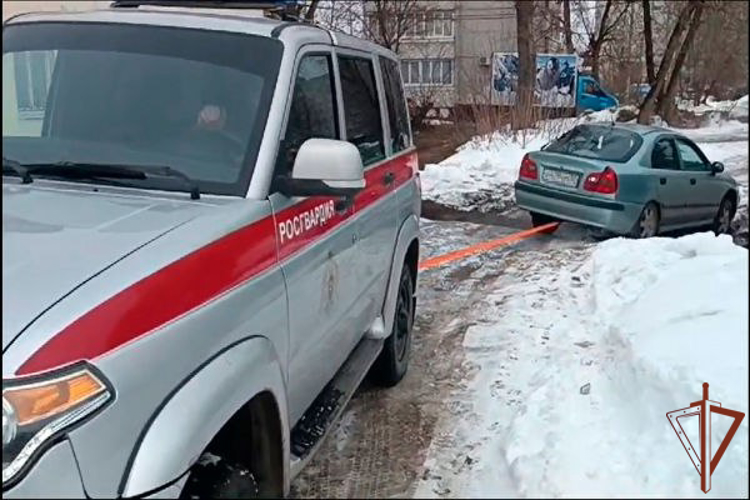 В Московской области сотрудники Росгвардии помогли автомобилисту