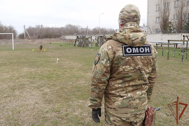 Сбор кинологов Северо-Кавказского округа Росгвардии завершился в Зеленокумске