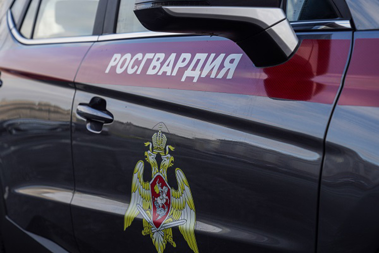 Сотрудники Росгвардии оказали доврачебную помощь упавшей с восьмого этажа москвичке (видео)