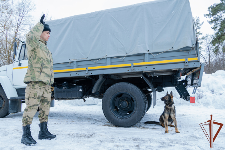 В Пензе прошли сборы кинологических служб правоохранительных ведомств