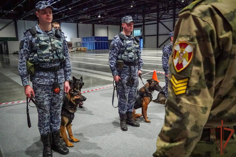 Курсанты Пермского военного института Росгвардии прошли войсковую стажировку в Северо-Западных регионах России