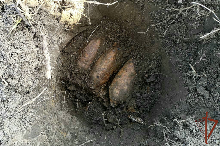 Полсотни боеприпасов времен ВОВ уничтожили взрывотехники Росгвардии на Кубани