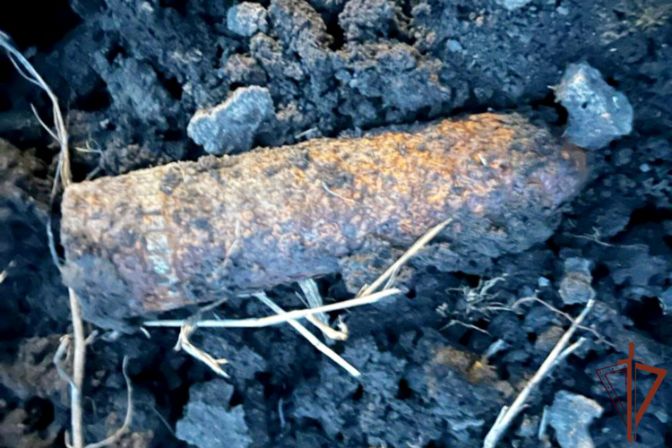 Полсотни боеприпасов времен ВОВ уничтожили взрывотехники Росгвардии на Кубани