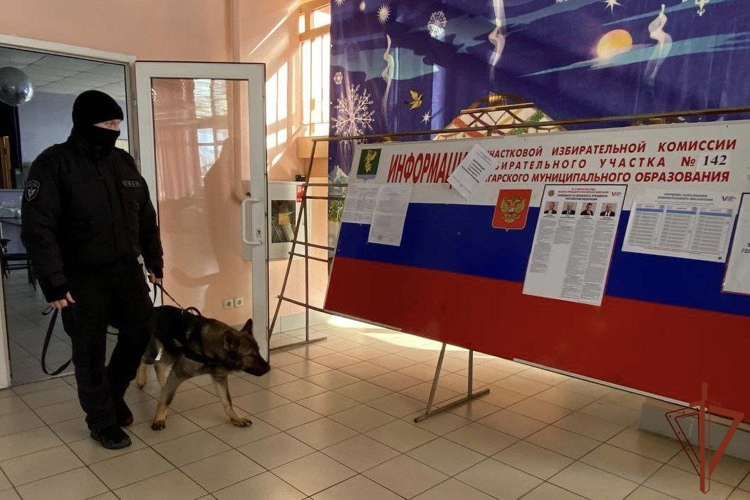 Росгвардейцы проводят проверку избирательных участков и владельцев оружия в Сибири