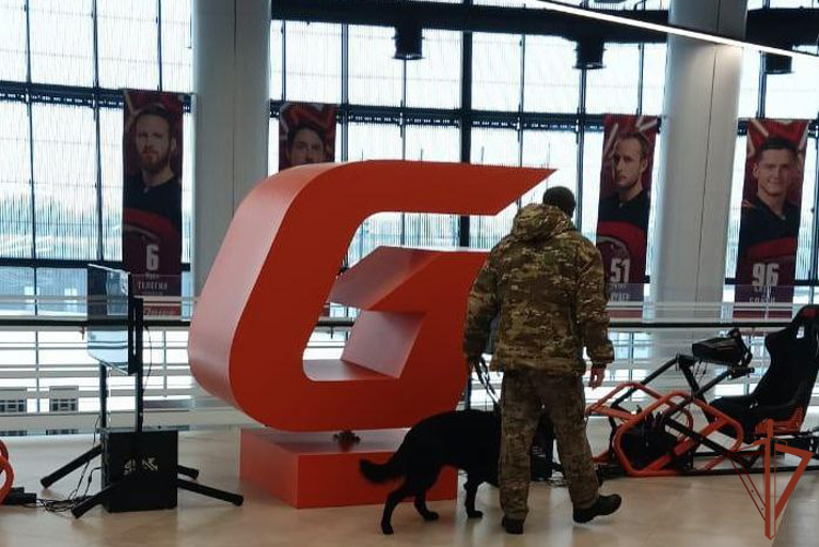 Росгвардия обеспечила безопасность и правопорядок на матче КХЛ в Омске