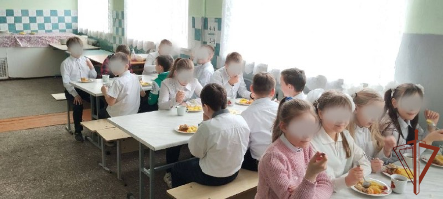   Грузовик с продуктами привезли росгвардейцы школьникам в ДНР (видео)
