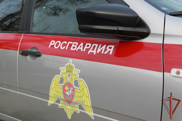 Росгвардейцы разыскали в Кузбассе пропавших после тренировки детей