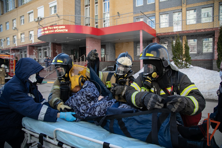 Совместные учения сотрудников Росгвардии и МЧС состоялись в Нижнем Новгороде