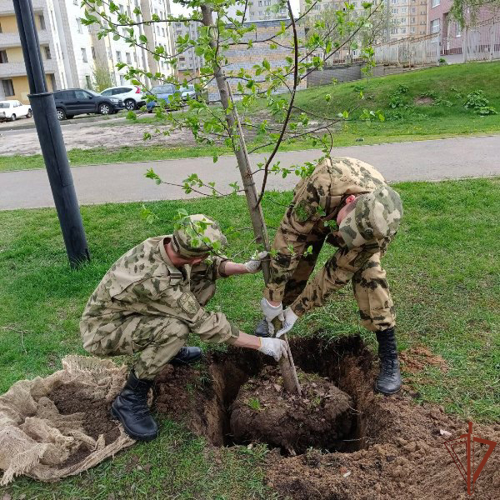 Росгвардейцы приняли участие в экологических акциях в Приволжье