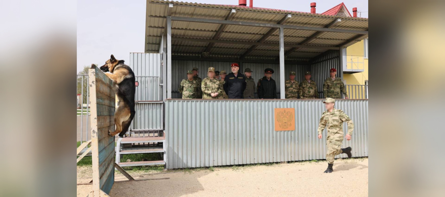 Генерал-полковник Алексей Воробьев высоко оценил подготовку кинологов Росгвардии к предстоящим соревнованиям по профессиональному многоборью (видео)