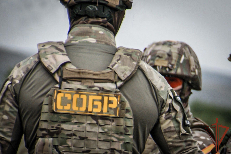 Спецназ Росгвардии задержал подозреваемого в незаконной рубке лесных насаждений в особо крупном размере в Хакасии