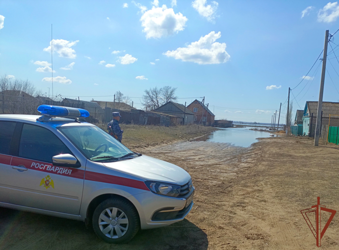 Росгвардейцы помогают пострадавшим от паводка в Оренбургской области (видео)