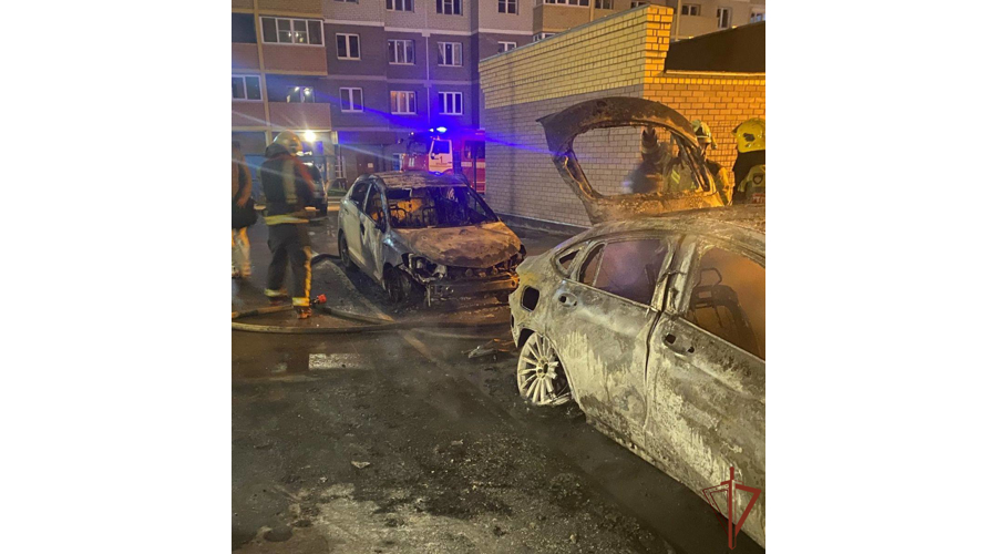 Росгвардейцы задержали подозреваемую в поджоге машин во Владимире 