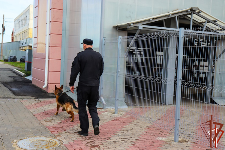 Росгвардия обеспечила безопасность посетителей агитационного поезда «Сила в правде» в Приволжском округе