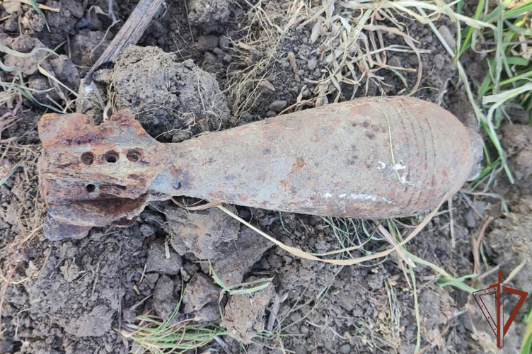 Более 120 снарядов периода Великой Отечественной войны уничтожили росгвардейцы в Краснодарском крае 