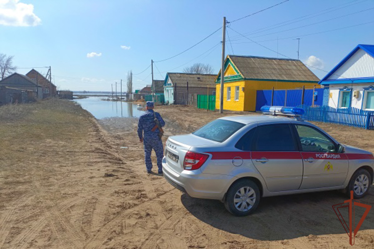 Росгвардейцы помогают пострадавшим от паводка в Оренбургской области (видео)