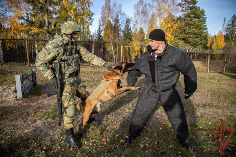 В Пермском военном институте Росгвардии состоялись учебно-методические сборы со специалистами-кинологами