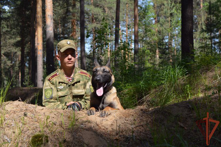 В Пермском военном институте Росгвардии состоялись учебно-методические сборы со специалистами-кинологами
